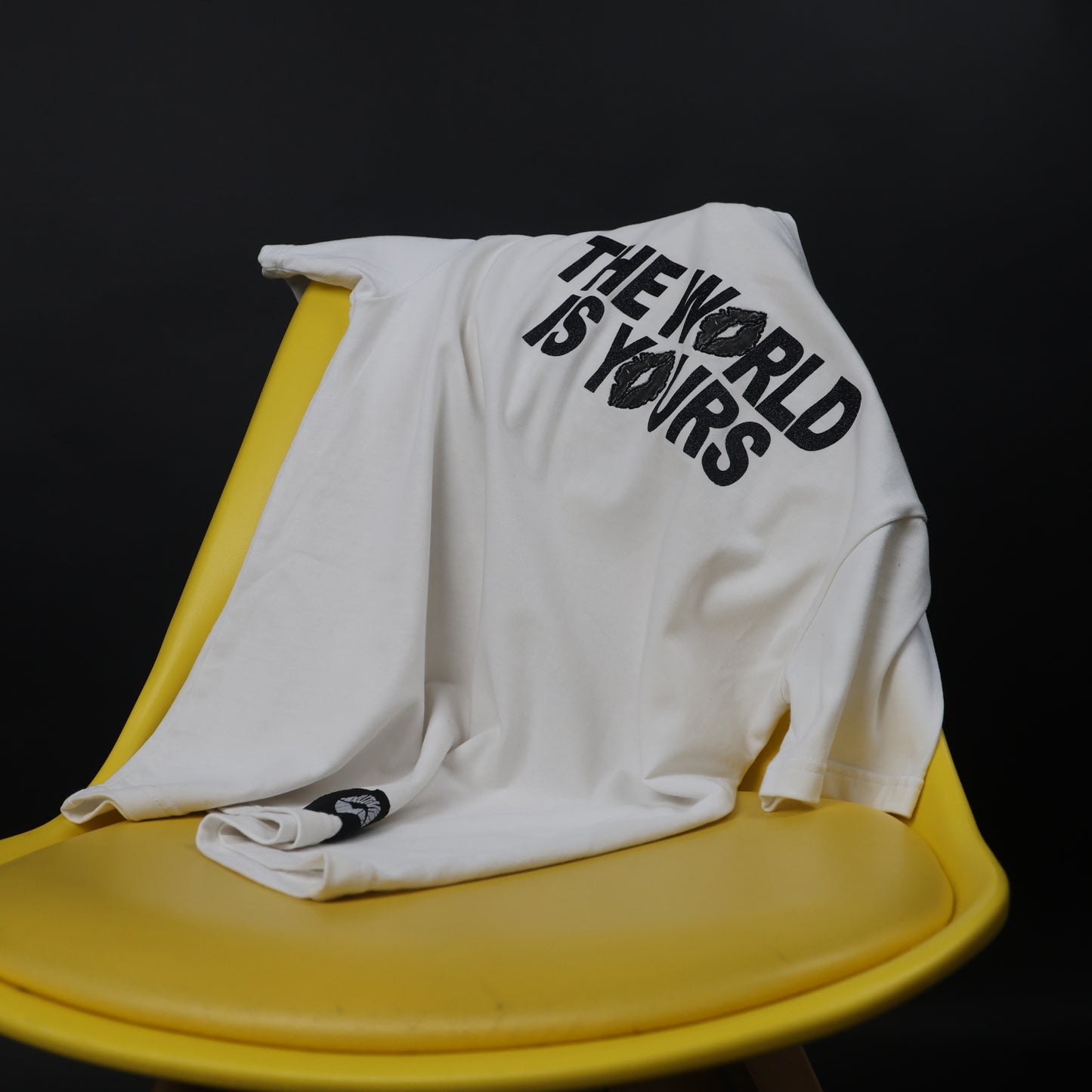 THE WORLD IS YOURS